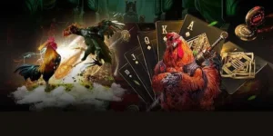 Hướng Dẫn Chi Tiết Cách Chơi Đá Gà GA28 Tại Tinycat99 Dành Cho Tân Thủ